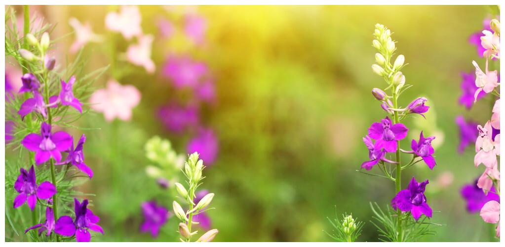 写给最爱的你：今生无缘夫妻，想你也是一种幸福休闲区蓝鸢梦想 - Www.slyday.coM