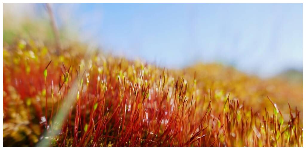 写给最爱的你：今生无缘夫妻，想你也是一种幸福休闲区蓝鸢梦想 - Www.slyday.coM