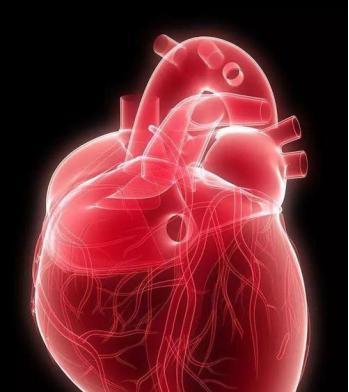 还在一昧遵循长时间的运动？HIIT让你在短时间内高效燃脂休闲区蓝鸢梦想 - Www.slyday.coM