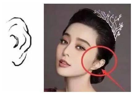 火耳形状特征:耳轮尖廓耳朵尖尖的人擅谋略,这类人大多数学识广博