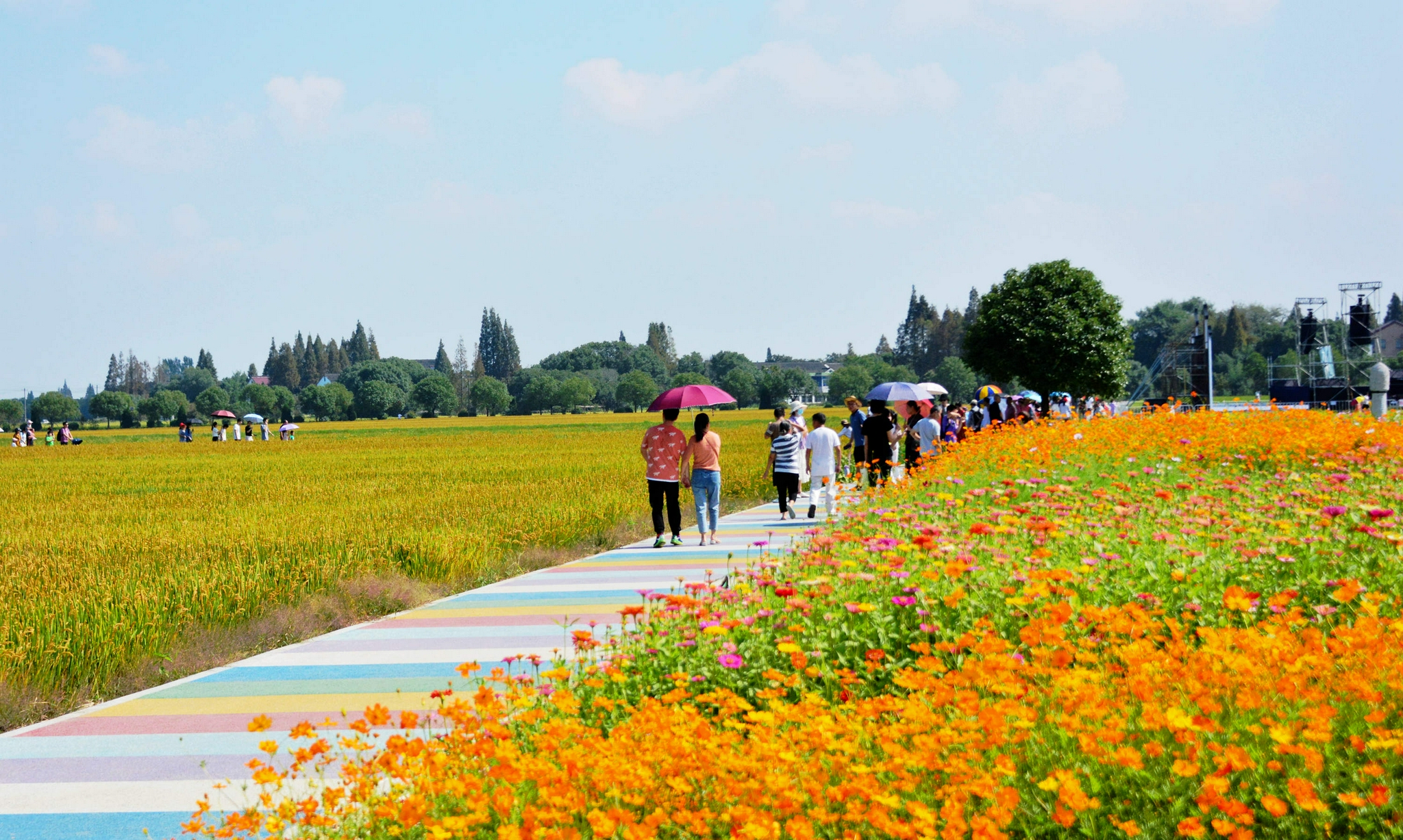 江苏无锡锡山区羊尖镇__财经头条