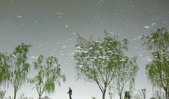 暮春有多美?几句诗词为你展现|诗词|苏溪亭|落花_新浪新闻