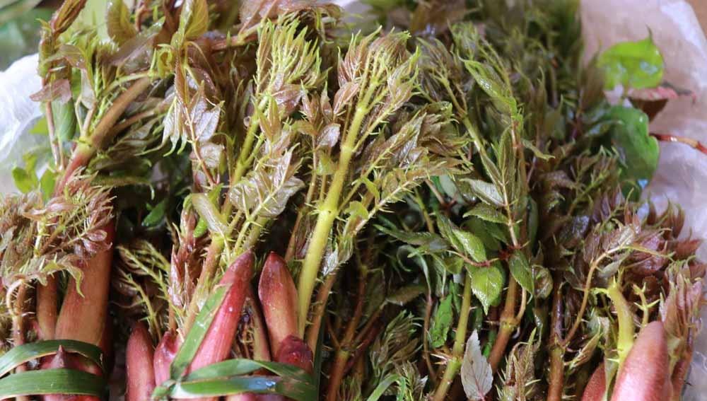 味道玉溪春天去尝尝云南元江的这些野菜吧