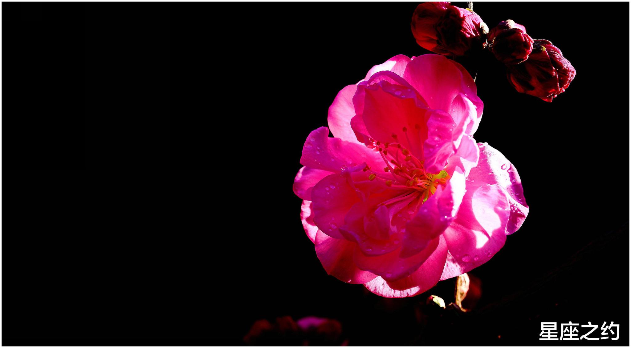 5月4日星座运势 足智多谋 突破瓶颈的四大星座 财经头条