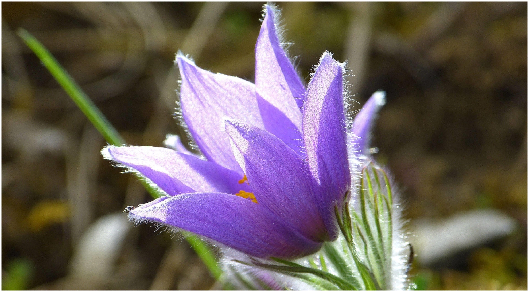 和天蝎座分手之后,复合的概率有多大?休闲区蓝鸢梦想 - Www.slyday.coM 和天蝎座分手之后,复合的概率有多大?休闲区蓝鸢梦想 - Www.slyday.coM