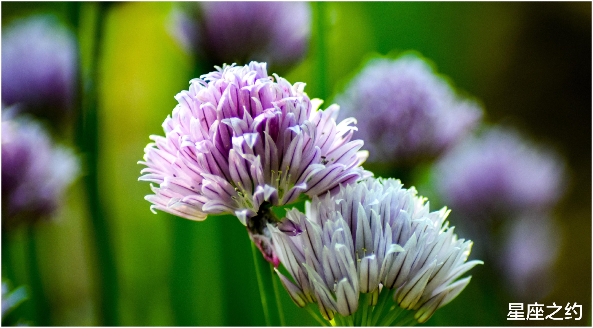 4月13日 19日爱情运势 琴瑟和鸣 佳偶天成的四大星座 运势 星座 伴侣 新浪新闻