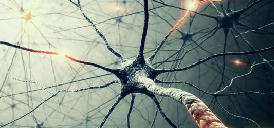 运动坚持不下去了,不是你懒,是它的错——运动性疲劳休闲区蓝鸢梦想 - Www.slyday.coM 运动坚持不下去了,不是你懒,是它的错——运动性疲劳休闲区蓝鸢梦想 - Www.slyday.coM