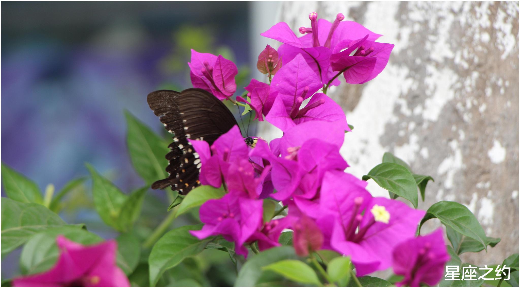 3月18日 22日星座运势 金牛座贵人相助 水瓶座独立自主 财经头条