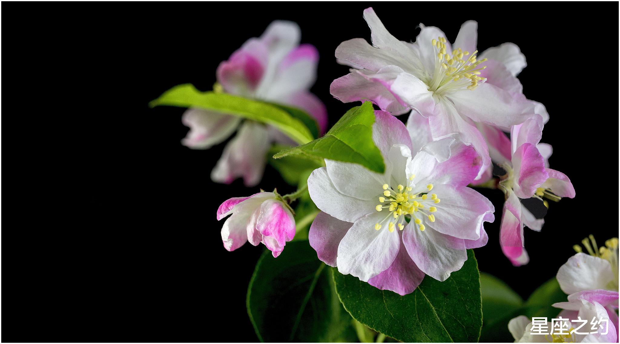 3月18日 22日星座运势 金牛座贵人相助 水瓶座独立自主 财经头条