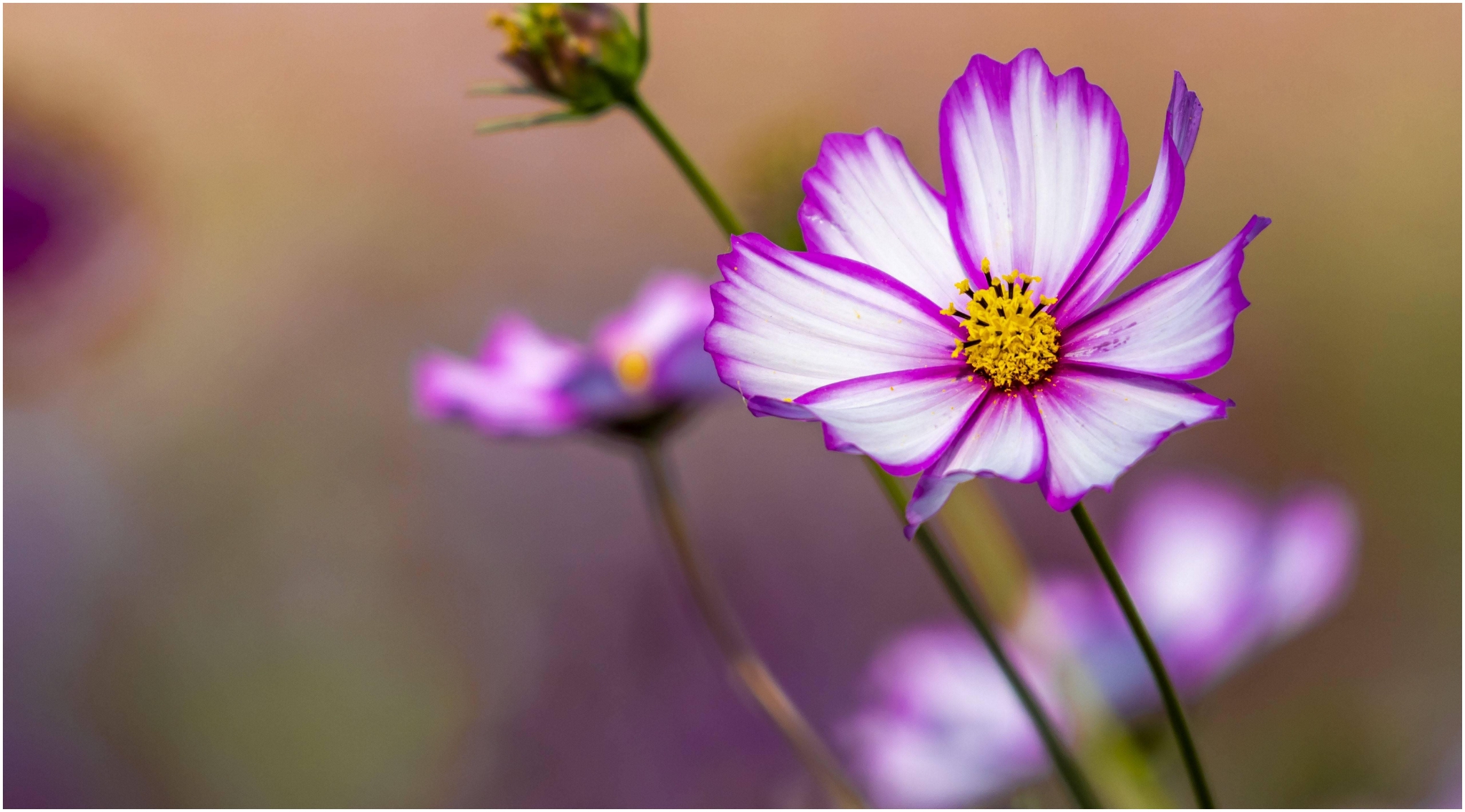 和天蝎座分手之后,复合的概率有多大?休闲区蓝鸢梦想 - Www.slyday.coM 和天蝎座分手之后,复合的概率有多大?休闲区蓝鸢梦想 - Www.slyday.coM