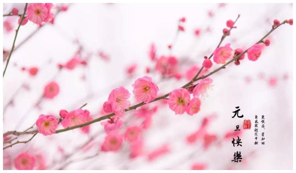 四月烟雨朦胧;五月榴花正好,六月小荷初萌;七月划舟采莲,八月丹桂飘香