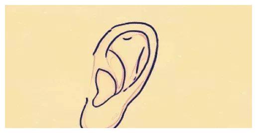 就是指耳朵的颜色白与脸部,属于大吉之相,有此面相的人,为人聪慧伶俐