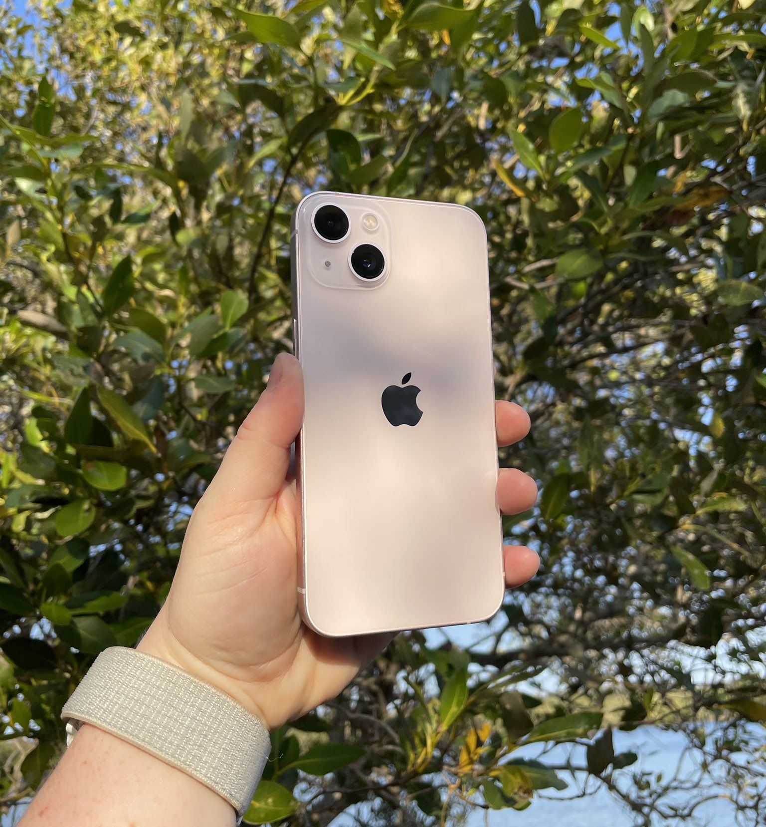 iPhone13星光色,iphone13粉色 今年iphone 13/mini分别提供了粉色,蓝色,红色,星光色,午夜色五种配色