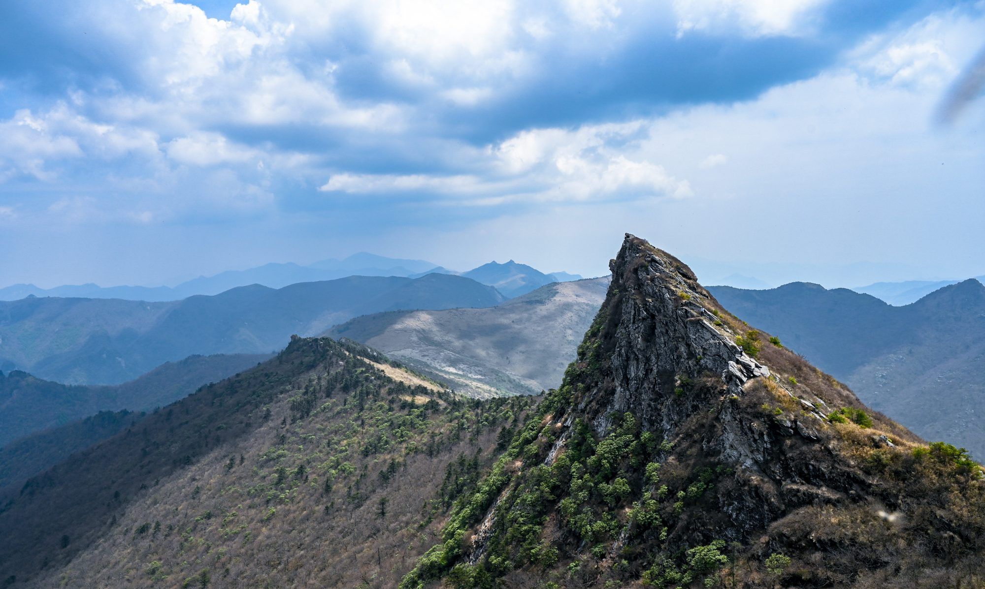 走入秦岭:分水岭经朝天场穿越高山草甸,赏杜鹃花开