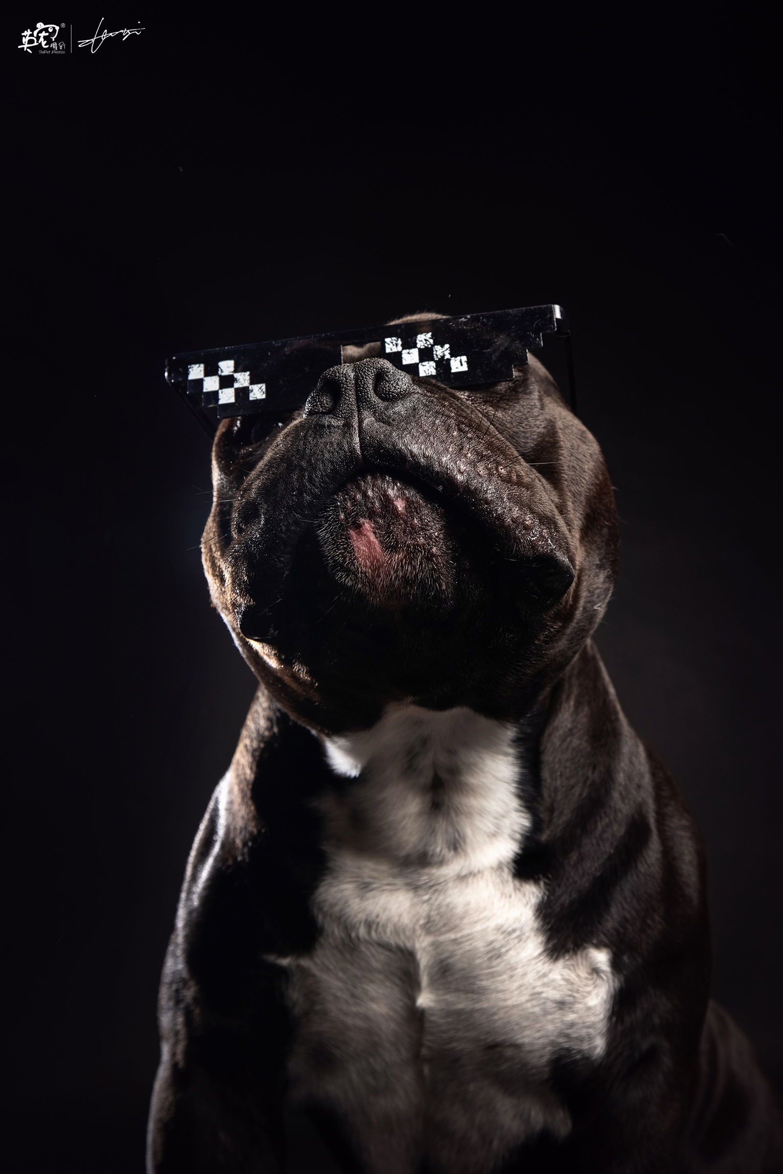 1600_2399竖版 竖屏