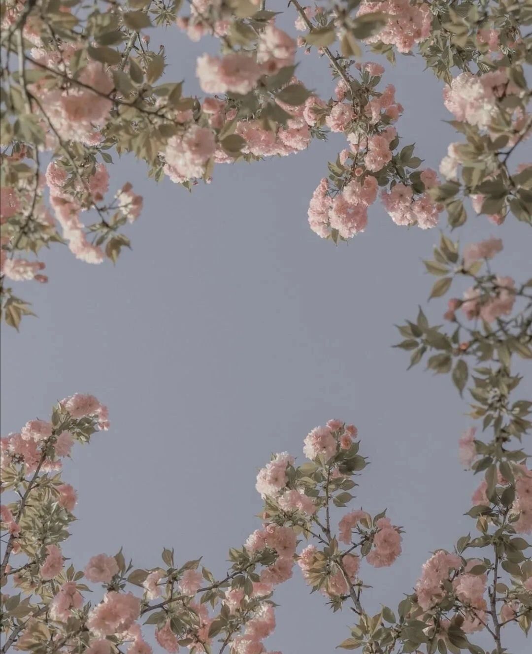 治愈系背景图,给烦躁的心放个假