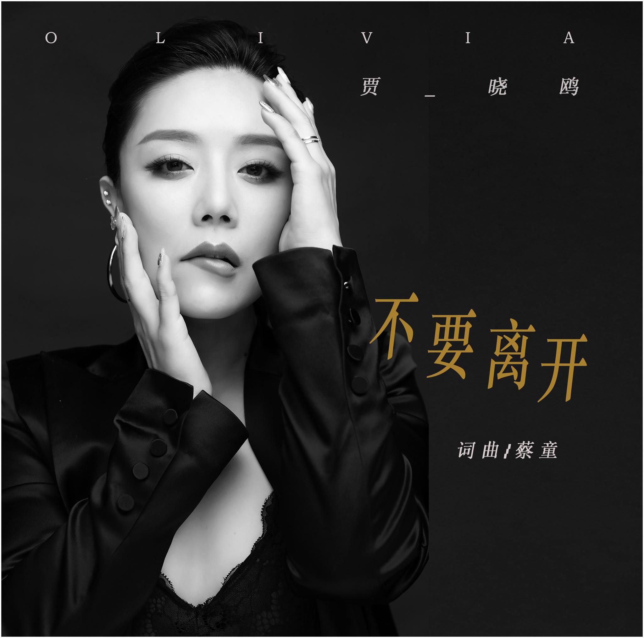 贾晓鸥最新歌曲不要离开发行