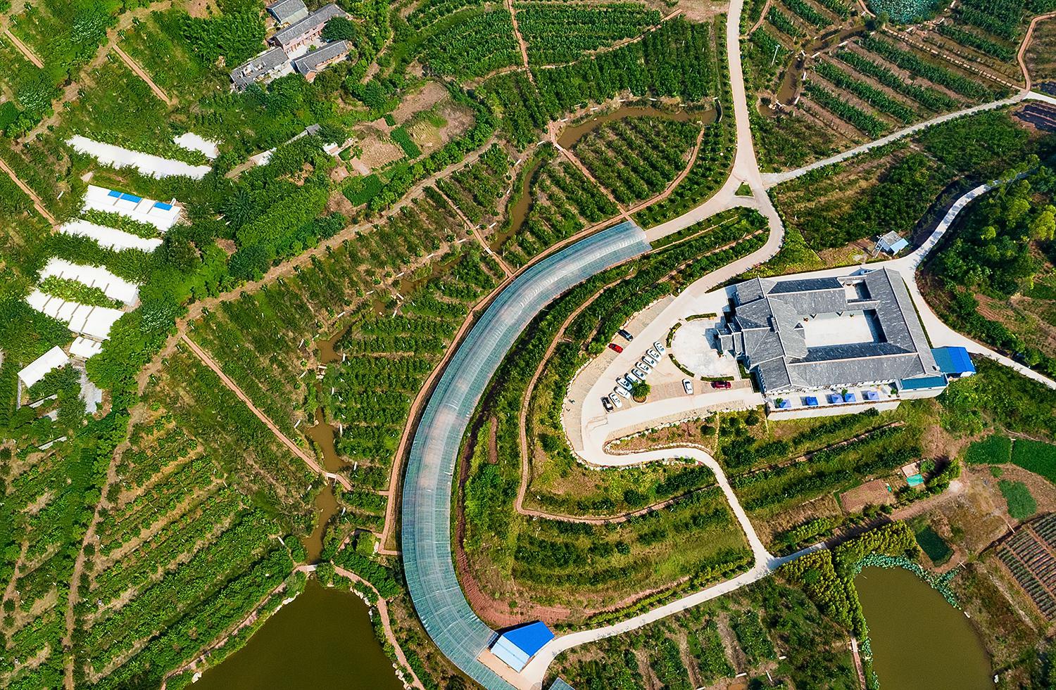 自贡自流井:两个方面持续发力 决战决胜脱贫攻坚