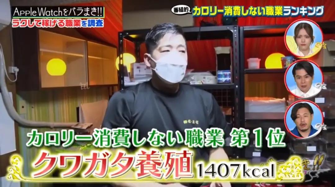 调查网站赚钱排行榜_日综调查:最轻松赚钱职业排行榜!