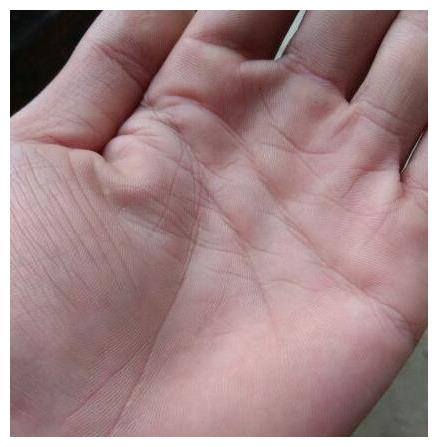 辛苦一辈子也挣不到大钱苦命人的手相