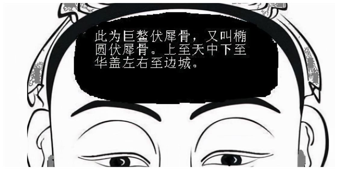 老祖宗忠告面带伏犀必显贵鼻梁塌陷终成空啥意思