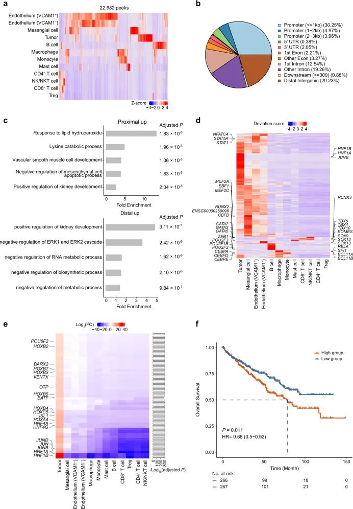 网站带数据库下载
