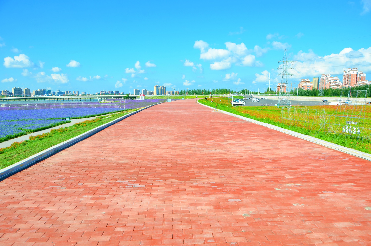 通辽市薰衣草花园的红砖路,原创拍摄_高清图集_新浪网