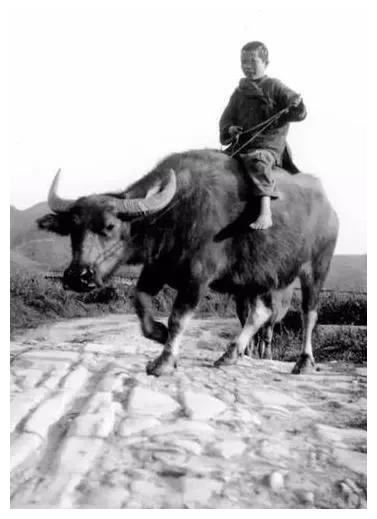 30年代珍贵老照片:图3让人愤怒,图5让人佩服,图8十分心酸__财经头条