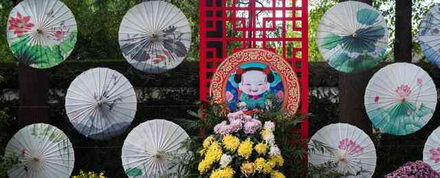 70年悠久历史菊会，6万多株菊花绽放，探访现实版的采菊东篱下