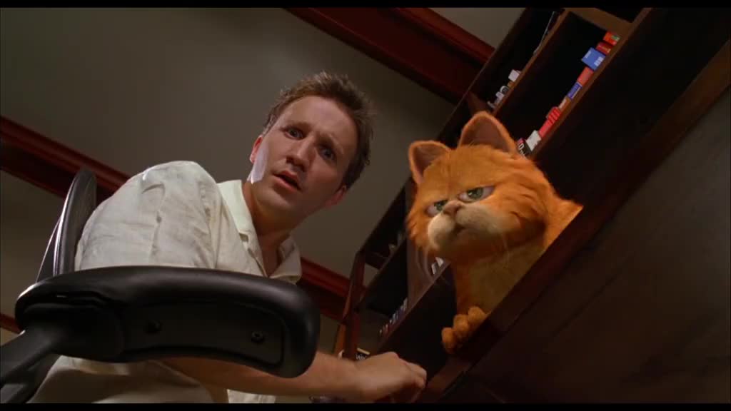 加菲猫不抓老鼠,现在失宠了吧!