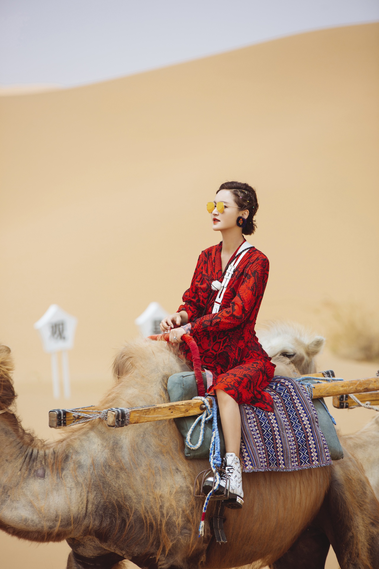 《妻子4》妻子团体验沙漠骑骆驼,吉娜碎花长裙最为耀眼