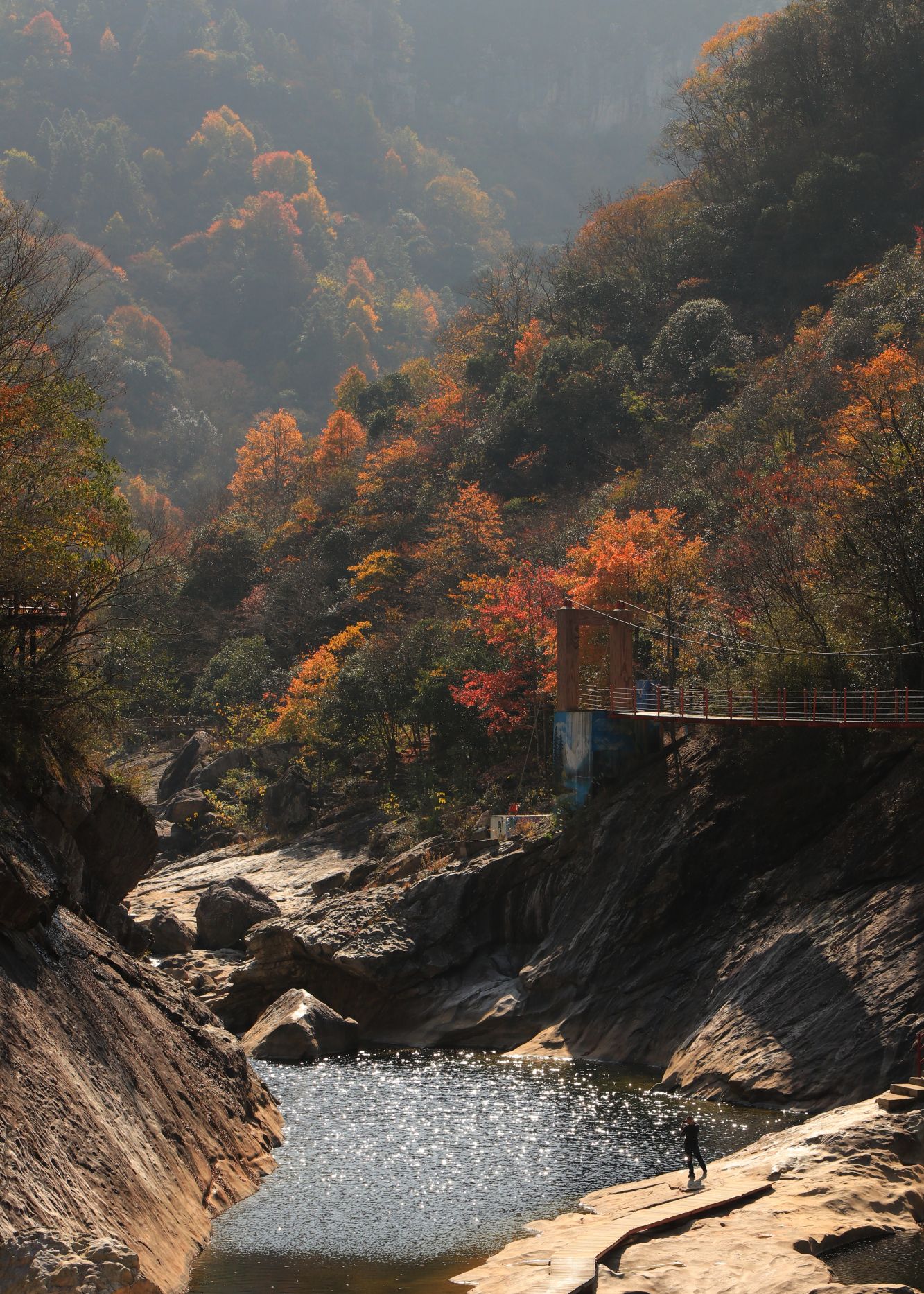 红枫灿烂层林染,霍山秋色满人间