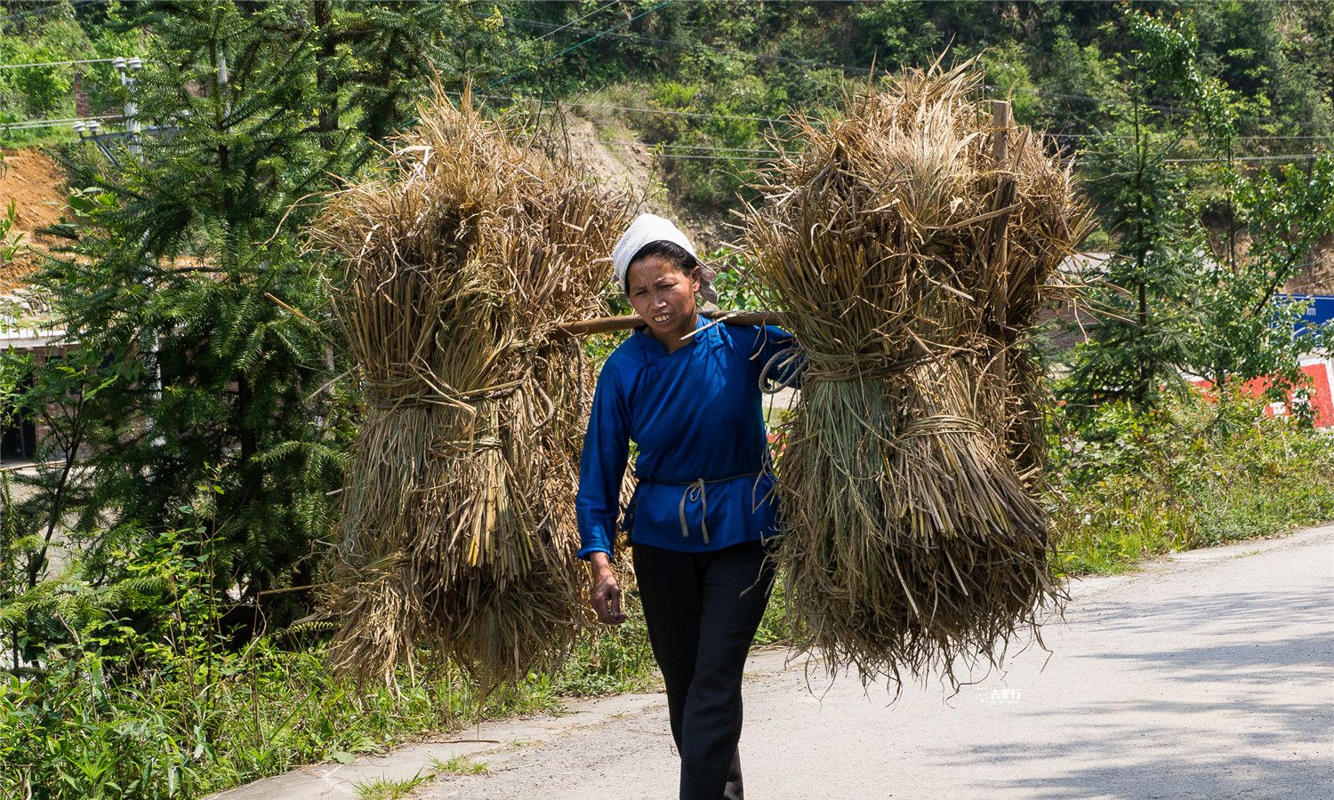 贵州百年侗寨:曾被欧洲此国选中,如今村民依然过着简朴的生活_高清