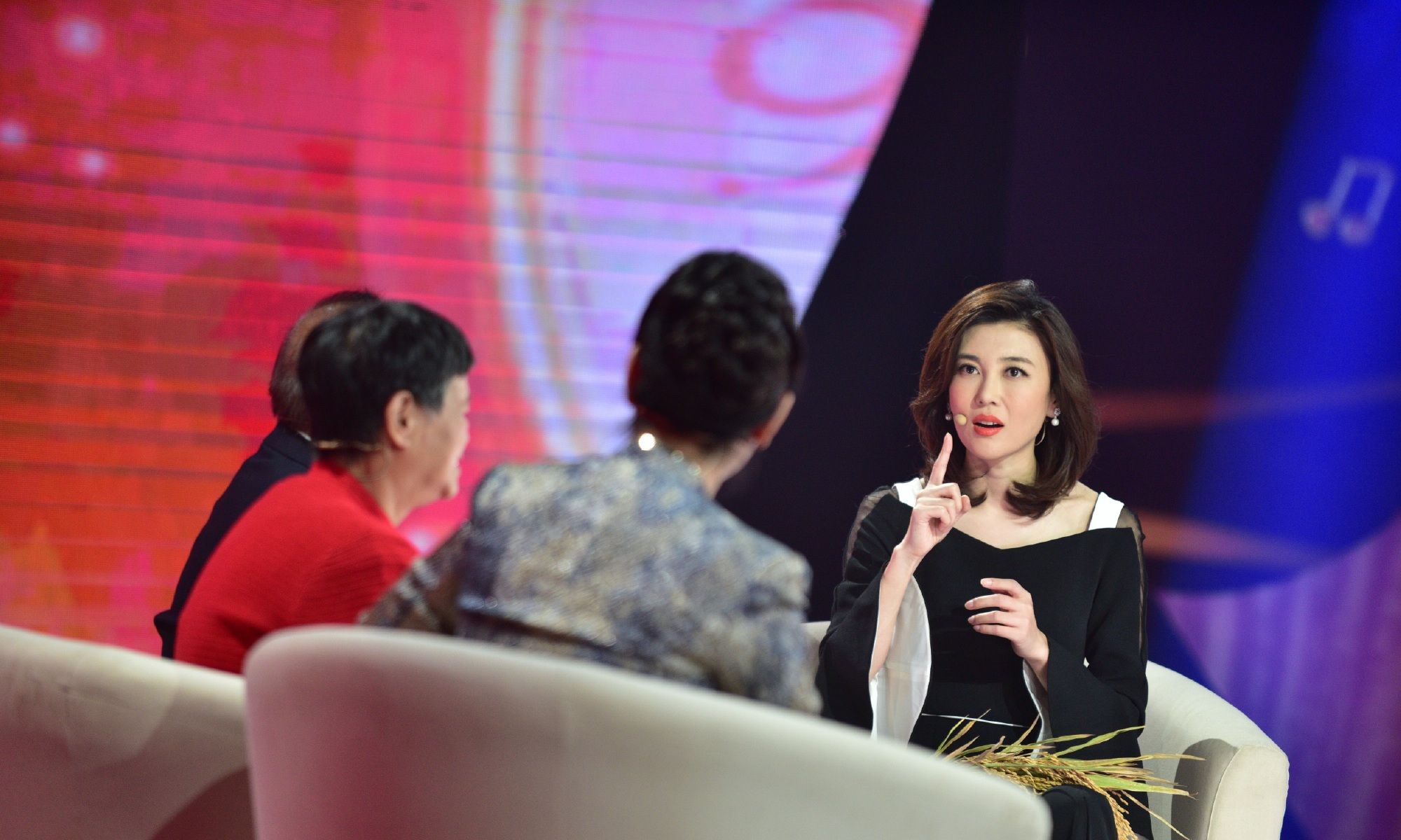 发现央视最美女主持人——李红_高清图集_新浪网