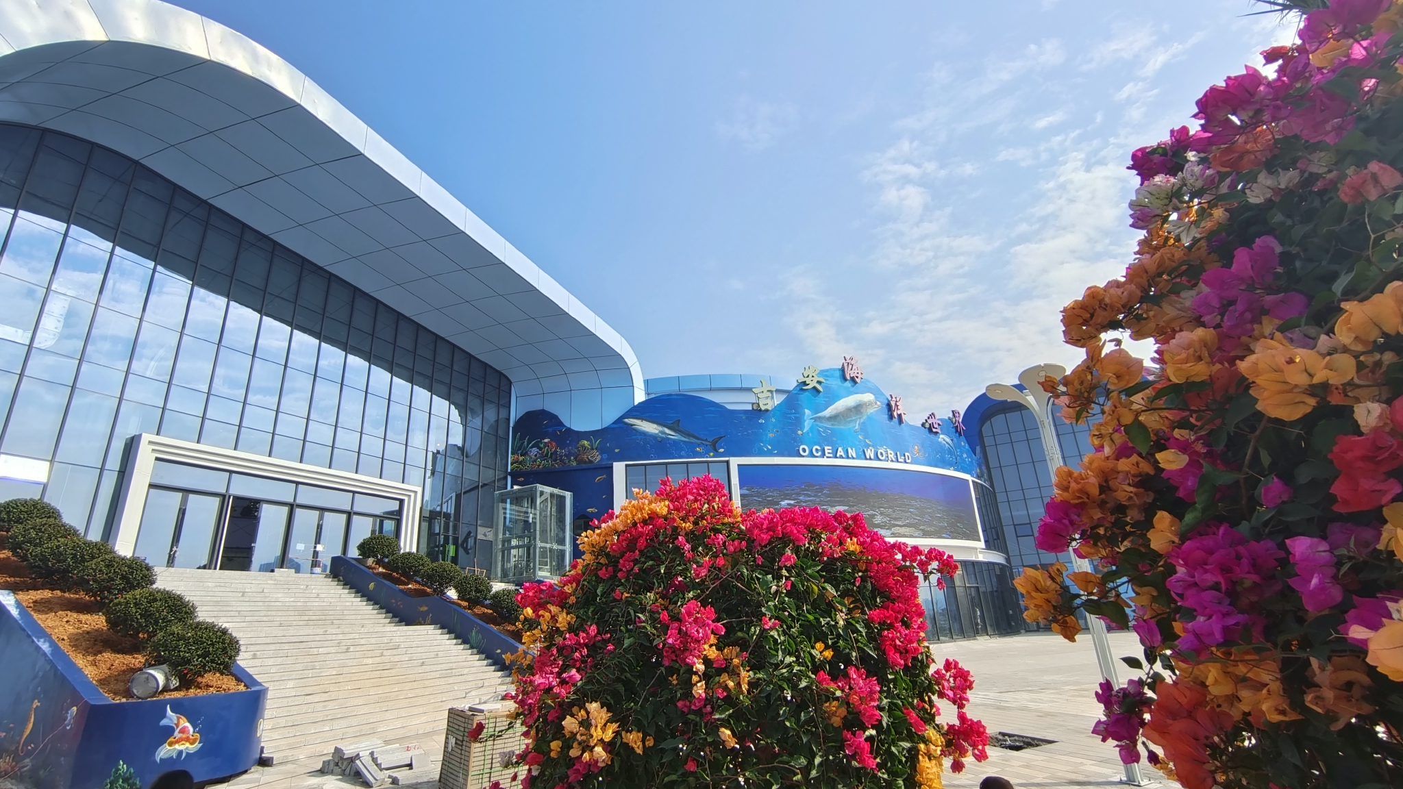 吉安海洋世界首批动物海豚来啦!|海洋世界|吉安|海豚_新浪新闻