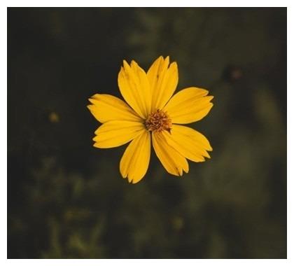 她们不说话的样子真美休闲区蓝鸢梦想 - Www.slyday.coM 她们不说话的样子真美休闲区蓝鸢梦想 - Www.slyday.coM