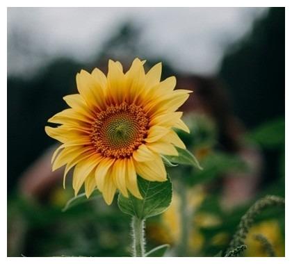 她们不说话的样子真美休闲区蓝鸢梦想 - Www.slyday.coM 她们不说话的样子真美休闲区蓝鸢梦想 - Www.slyday.coM