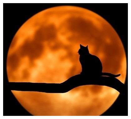 她们不说话的样子真美休闲区蓝鸢梦想 - Www.slyday.coM 她们不说话的样子真美休闲区蓝鸢梦想 - Www.slyday.coM