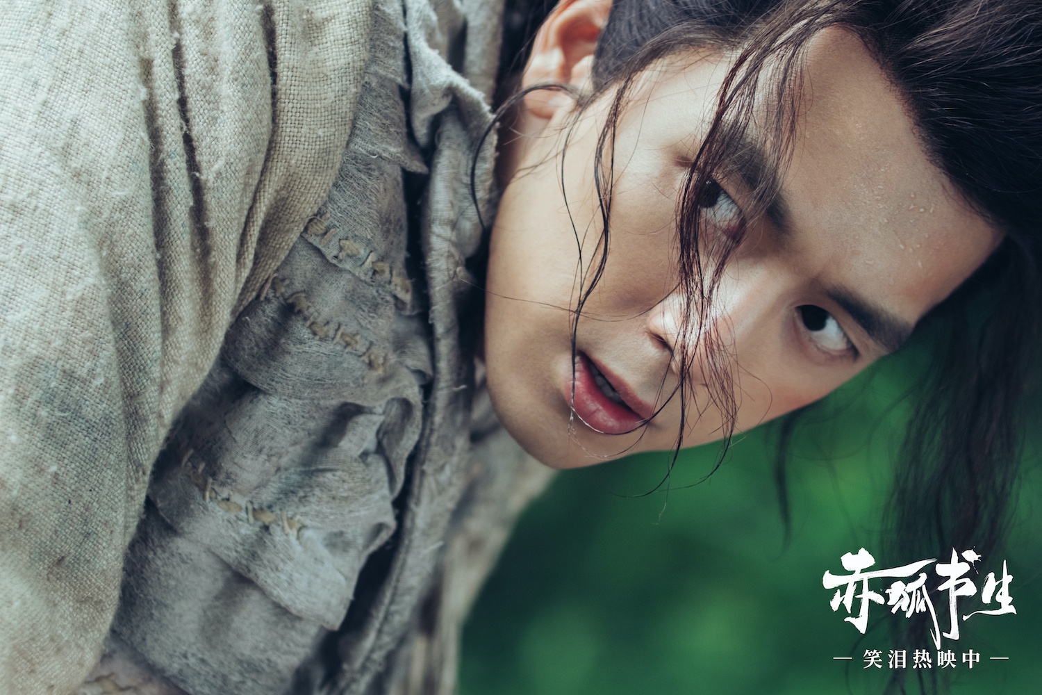 电影赤狐书生曝前世今生番外篇陈立农李现缘来如此