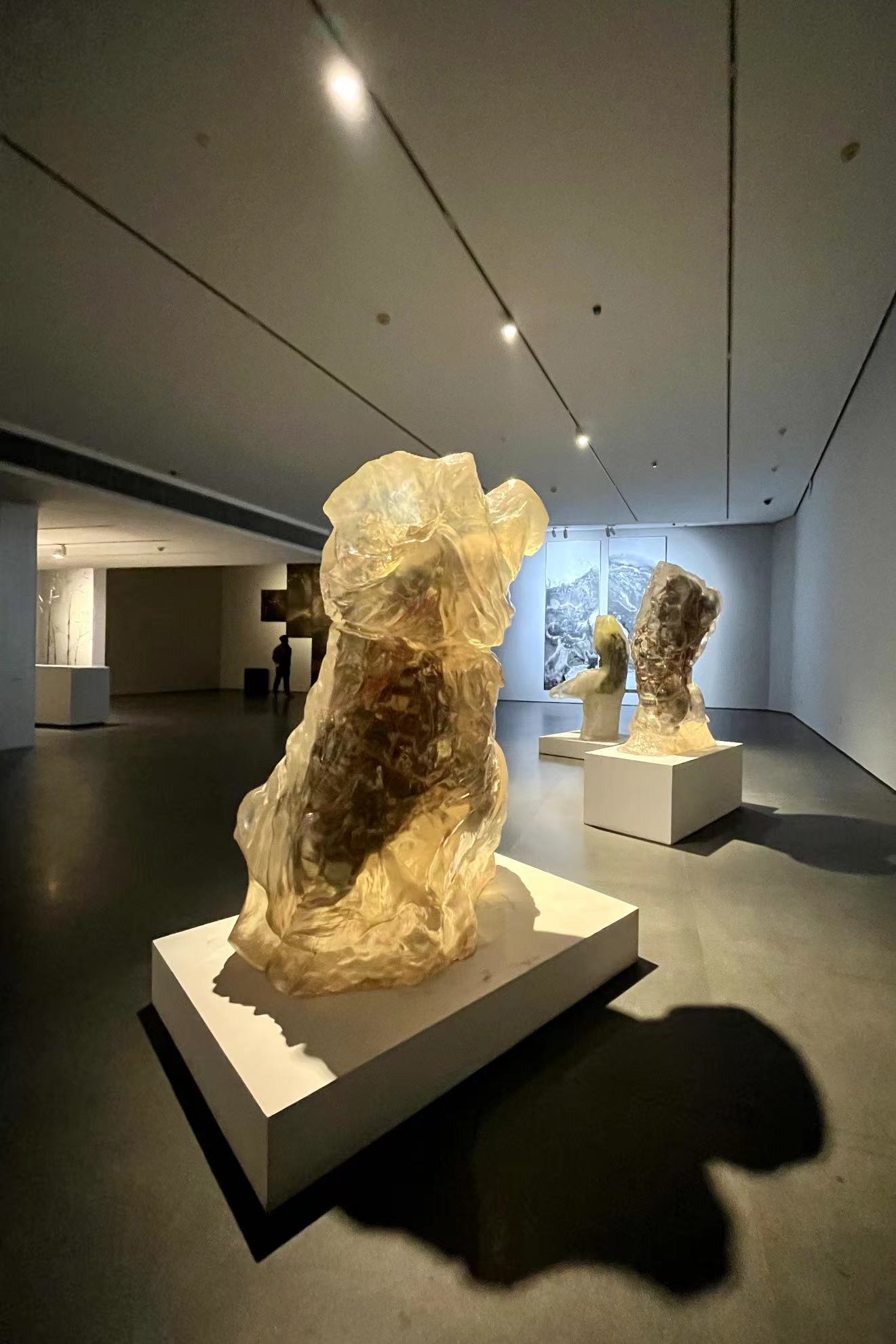2022武汉双年展部分艺术作品(九)·合美术馆
