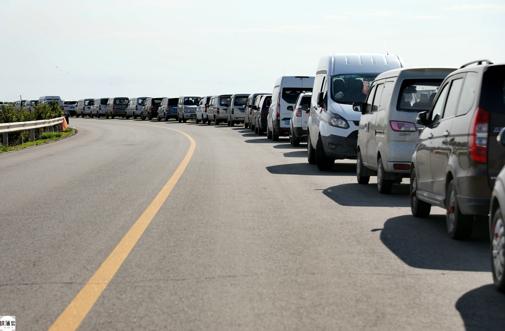 9月4日辽宁东港滨海大道,运送700多名挖蛏人的100多辆面包车,排成了