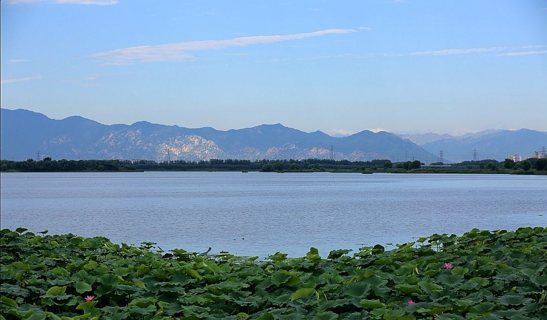 昌平沙河水库|清秋引鹭来