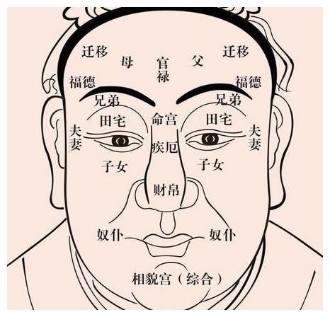 麻衣神婆麻衣相法之十二宫麻衣神相十二宫位讲解