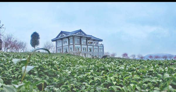 福建的小庐山,樱花开到漫山遍野,被誉为中国最美樱花圣地休闲区蓝鸢梦想 - Www.slyday.coM 福建的小庐山,樱花开到漫山遍野,被誉为中国最美樱花圣地休闲区蓝鸢梦想 - Www.slyday.coM