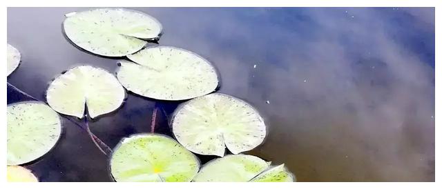 职场说话有讲究，管好你的嘴，学会这些不吃亏休闲区蓝鸢梦想 - Www.slyday.coM