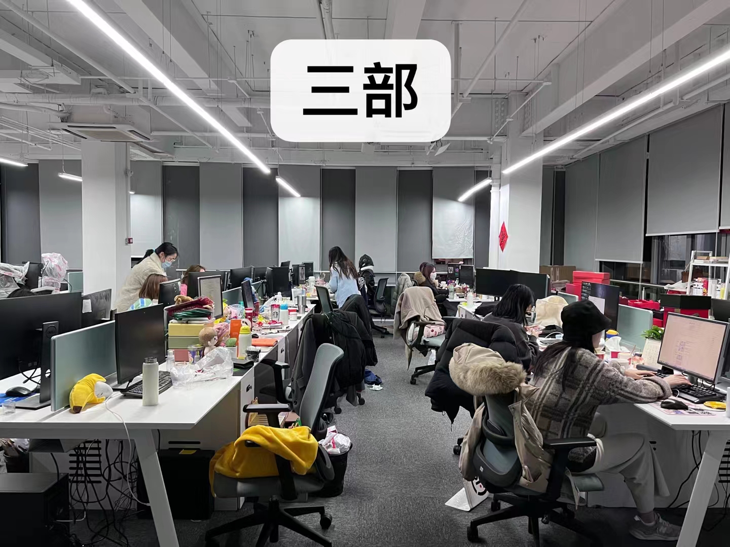 mcn公司打工人实录缇苏红人一枝南南团队篇