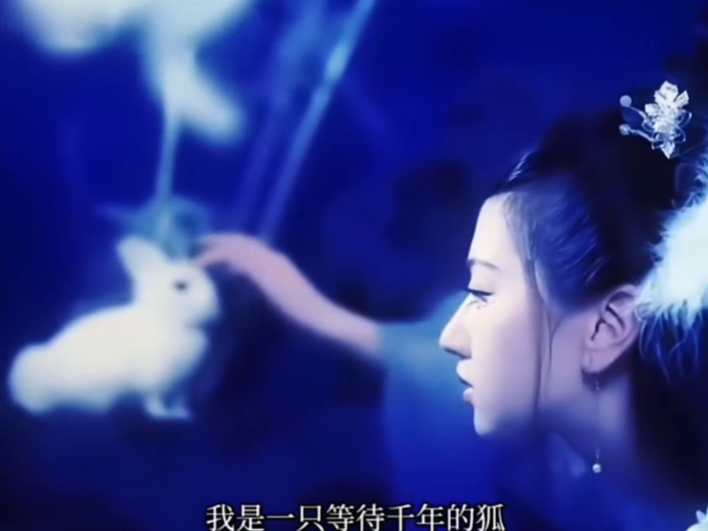 《白狐》陈瑞深情感人，淒美而忧伤