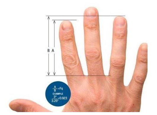 你的手指长短决定你有多少钱真的很准