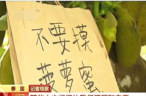 继越南之后，泰国也推出“中文标识”，看了内容，游客：没脸再去
