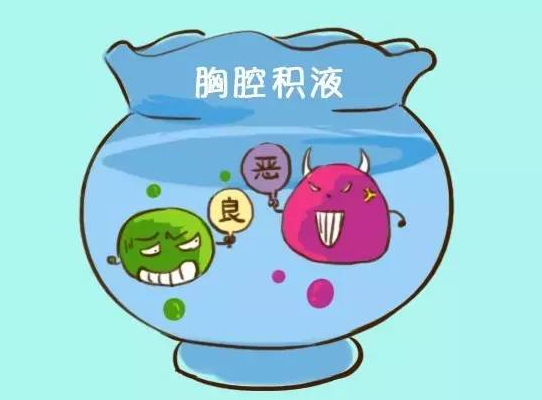 京城国医堂专家来安利|胸腔积液|胸腔|积水_新浪新闻